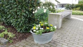 Gärtner Unterstufe bepflanzt die Kübel